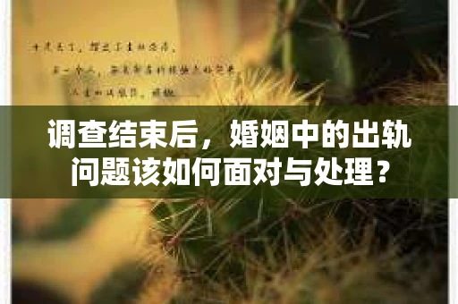调查结束后,婚姻中的出轨问题该如何面对与处理? 调查结束后,婚姻中的出轨问题该如何面对与处理?