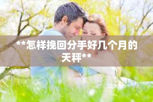 **怎样挽回分手好几个月的天秤** **怎样挽回分手好几个月的天秤**