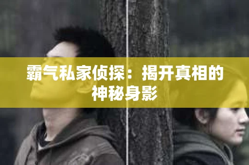 霸气私家侦探：揭开真相的神秘身影