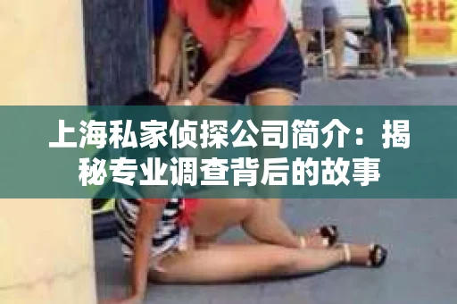 上海私家侦探公司简介：揭秘专业调查背后的故事