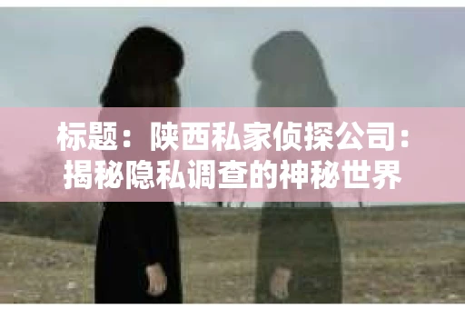 标题：陕西私家侦探公司：揭秘隐私调查的神秘世界