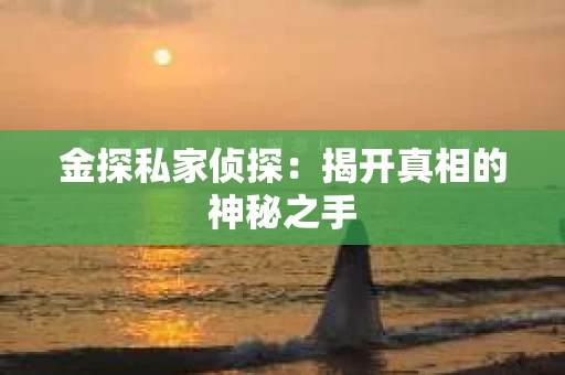 金探私家侦探：揭开真相的神秘之手