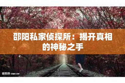 邵阳私家侦探所：揭开真相的神秘之手