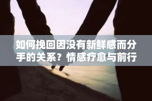 如何挽回因没有新鲜感而分手的关系？情感疗愈与前行计划