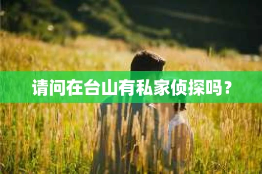 请问在台山有私家侦探吗？