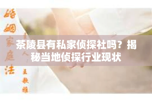 茶陵县有私家侦探社吗？揭秘当地侦探行业现状