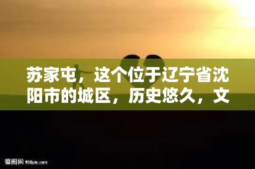 苏家屯，这个位于辽宁省沈阳市的城区，历史悠久，文化底蕴深厚。近年来，随着社会的发展，人们对于私家侦探的需求也逐渐增加。那么，苏家屯有私家侦探吗？今天，我们就来聊聊这个话题。