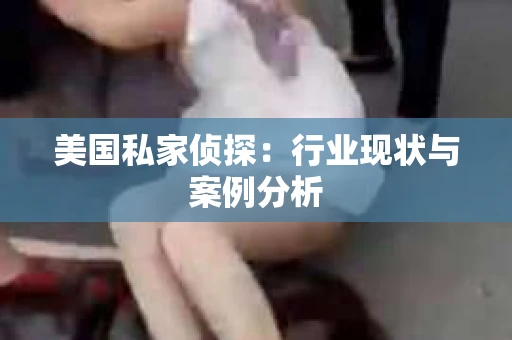 美国私家侦探：行业现状与案例分析