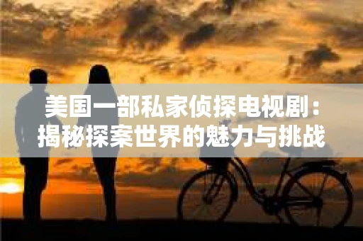 美国一部私家侦探电视剧：揭秘探案世界的魅力与挑战
