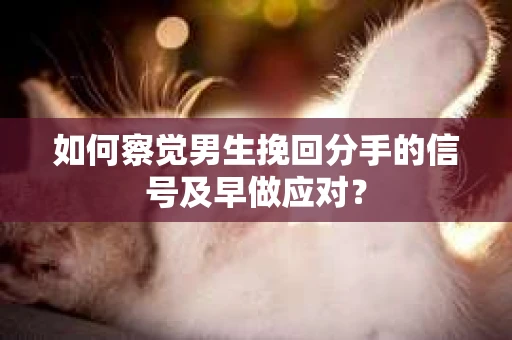 如何察觉男生挽回分手的信号及早做应对？