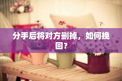 分手后将对方删掉,如何挽回? 分手后将对方删掉,如何挽回?