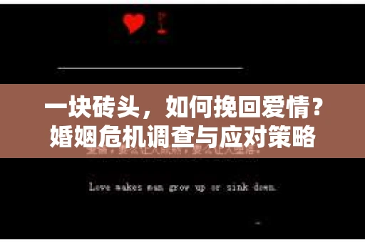 一块砖头，如何挽回爱情？婚姻危机调查与应对策略