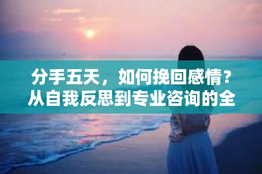 分手五天，如何挽回感情？从自我反思到专业咨询的全面解决方案