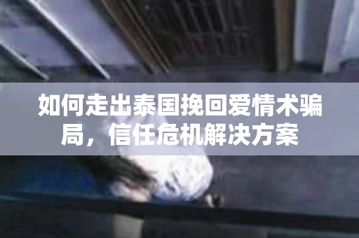 如何走出泰国挽回爱情术骗局，信任危机解决方案