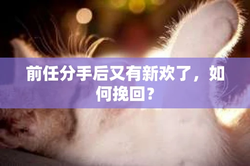 前任分手后又有新欢了，如何挽回？