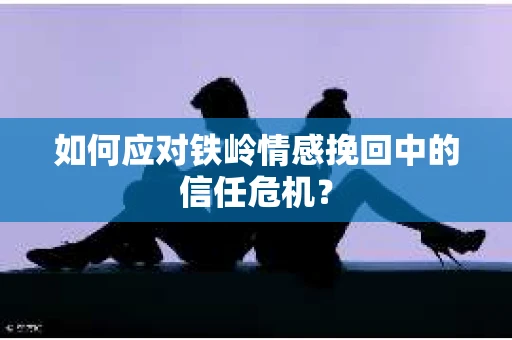 如何应对铁岭情感挽回中的信任危机？