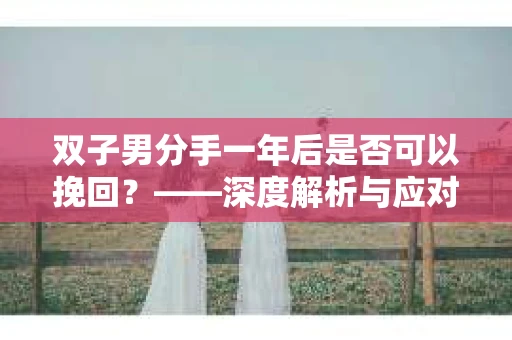 双子男分手一年后是否可以挽回？——深度解析与应对策略