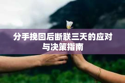 分手挽回后断联三天的应对与决策指南